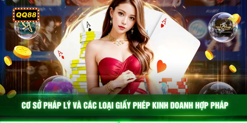 Cơ sở pháp lý và các loại giấy phép kinh doanh hợp pháp 